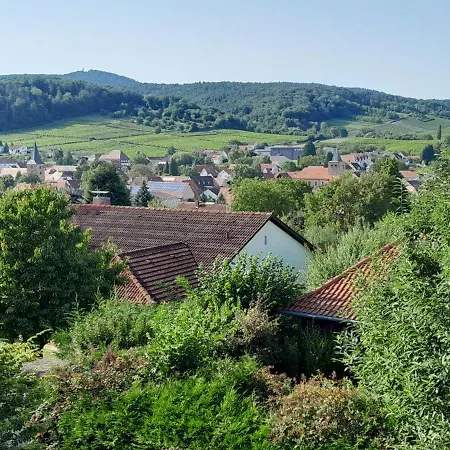 Libelle Oberotterbach